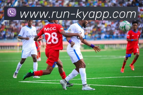 开云体育平台生态图