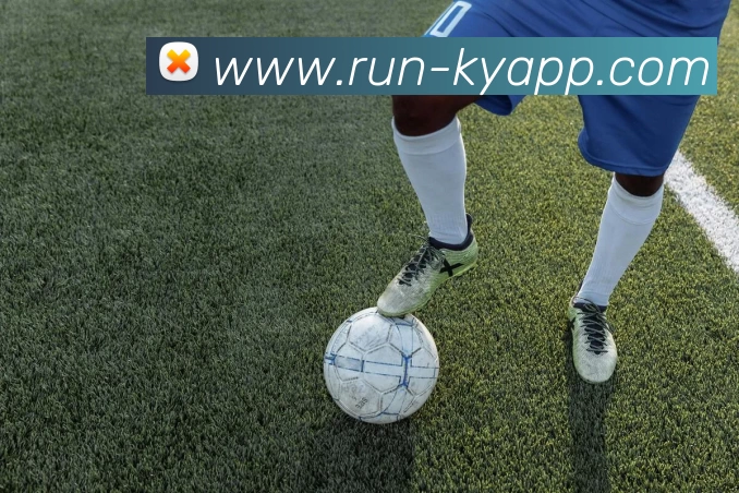 开云体育全站App